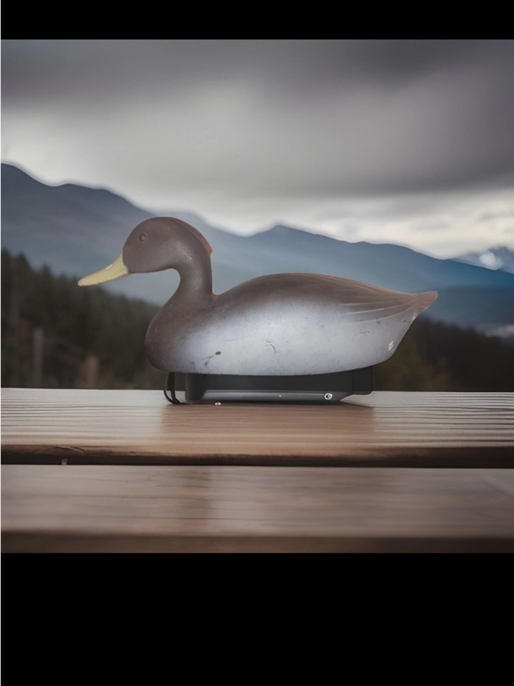 Vintage Victor D-9 Duck Decoy